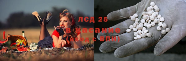 амф Арсеньев