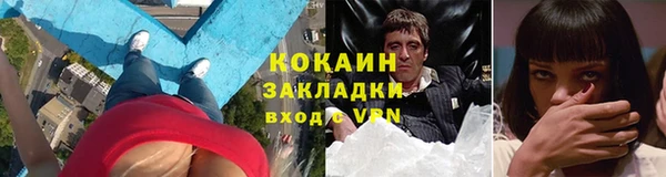 амф Арсеньев