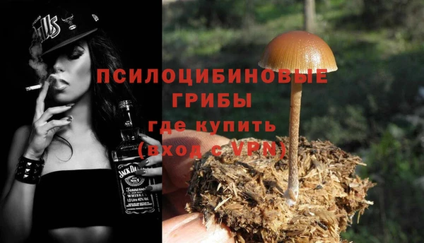 прущий лед Аркадак