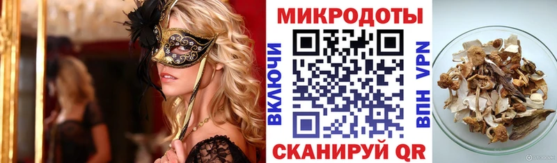 Галлюциногенные грибы Psilocybe  Боготол 